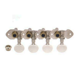 M-120 Clavijero Mandolina Niquelado  2