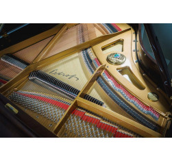 Compra BREEZE 173 online | MusicSales 2