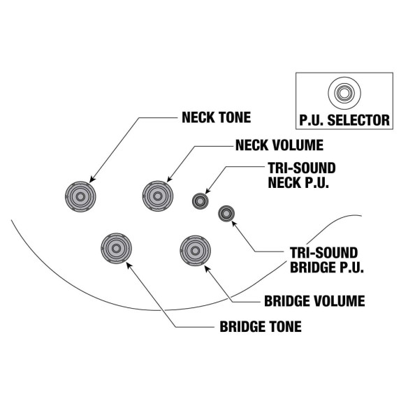 Ibanez AR420-VLS Guitarra Eléctrica