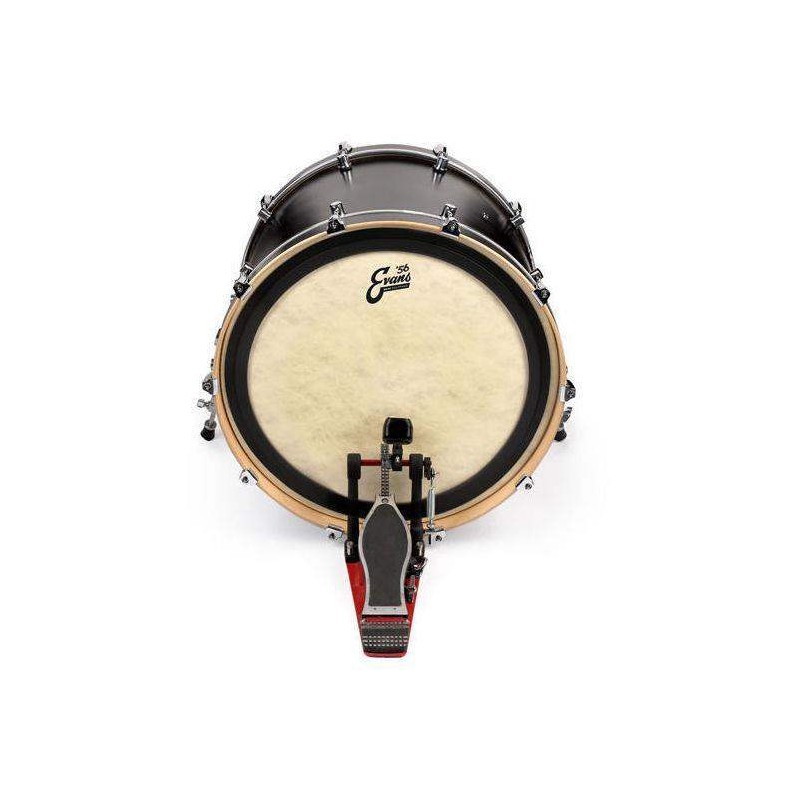Compra 16" Calftone Emad BD16EMADCT online | MusicSales