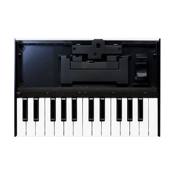 ROLAND K-25M Teclado Controlador Serie Boutique