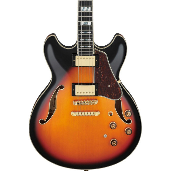 AS113-BS Guitarra Eléctrica Artstar Hollow Body 