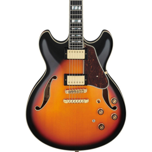 AS113-BS Guitarra Eléctrica Artstar Hollow Body 
