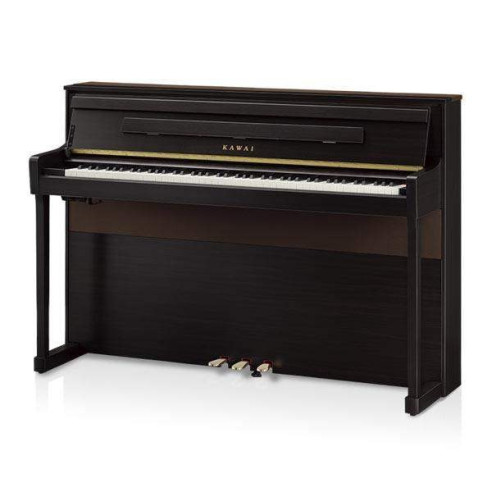 CA-901 R Piano Digital Palisandro Mate