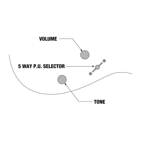 Ibanez GRG121DX-BKF Guitarra Eléctrica