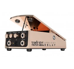 6184 Ambient Delay
