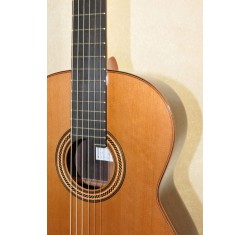 M-16C Guitarra de Concierto 
                                