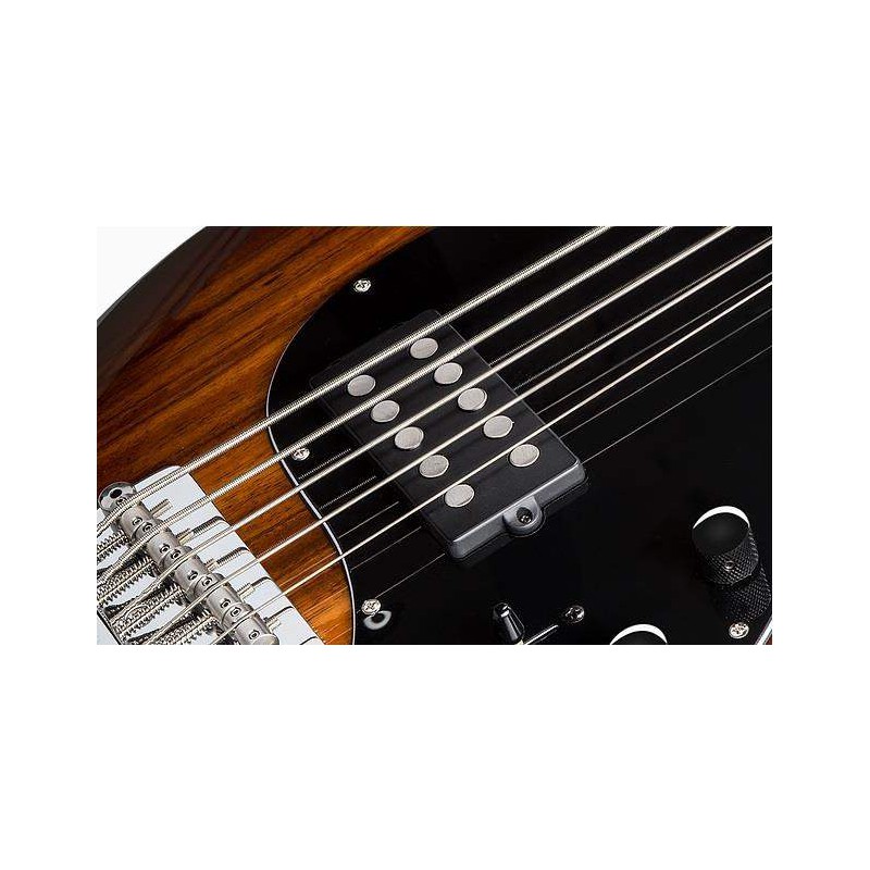 Compra Stingray RAY35 - Koa online | MusicSales