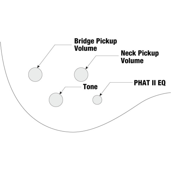 Compra GSR200B-WNF online | MusicSales