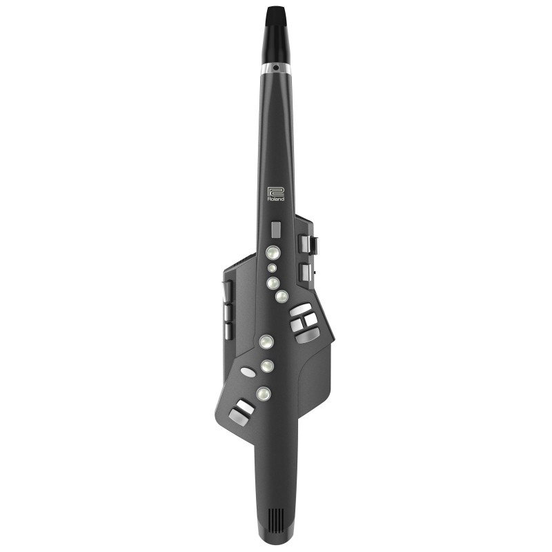 Compra Aerophone AE-10G online | MusicSales