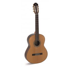 A10 Guitarra Clásica Artesanía
                                