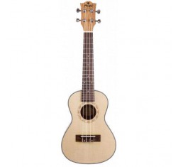 Ukelele Concert BC25