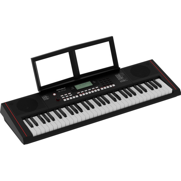 ROLAND E-X10 Teclado Arranger doméstico