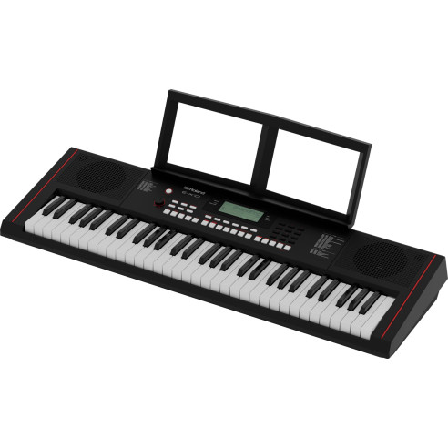 ROLAND E-X10 Teclado Arranger doméstico