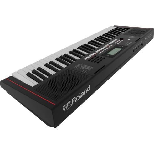 ROLAND E-X10 Teclado Arranger doméstico