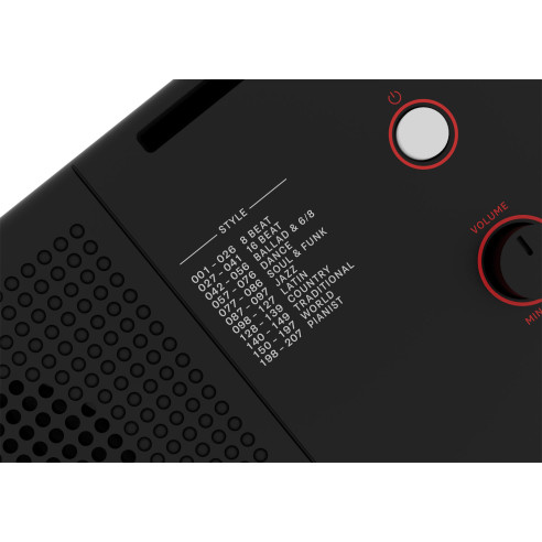 ROLAND E-X10 Teclado Arranger doméstico