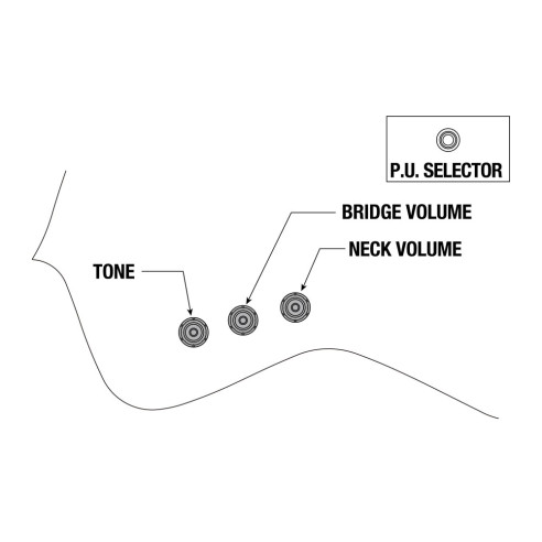PS60-BK Guitarra Eléctrica PAUL STANLEY Signature