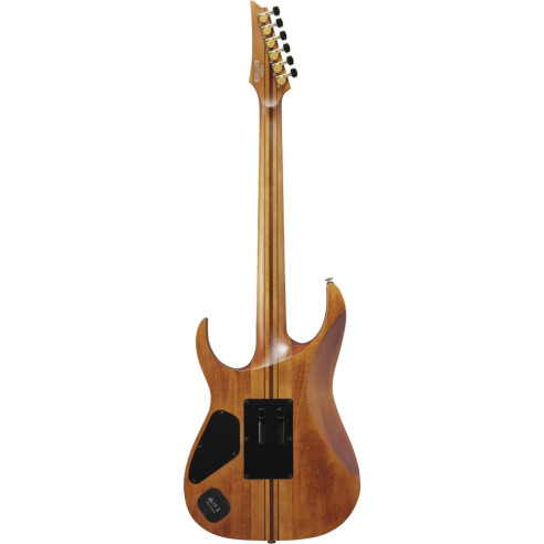 Ibanez RGT1220PB-ABS Guitarra Eléctrica Premium