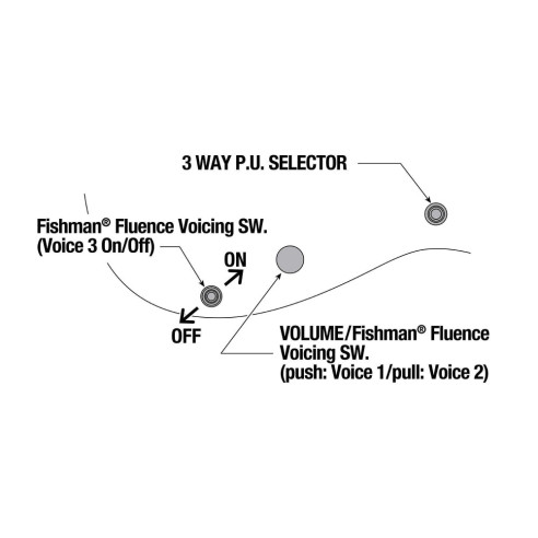 RGDMS8-CSM Guitarra Eléctrica 8 Cuerdas 