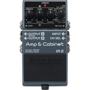 IR-2 Pedal Amp  Cabinet 2