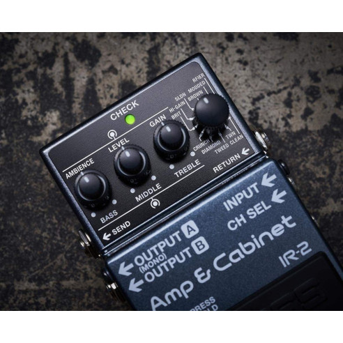 IR-2 Pedal Amp  Cabinet