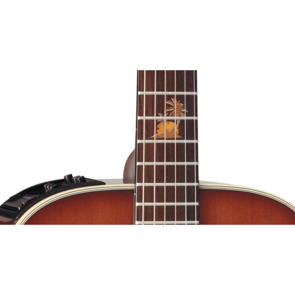 Compra TF77-PT online | MusicSales