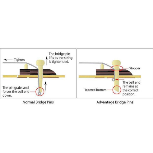 Compra PF15-BK online | MusicSales