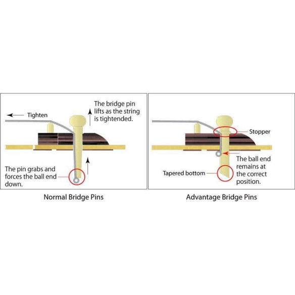 Compra PF15-BK online | MusicSales