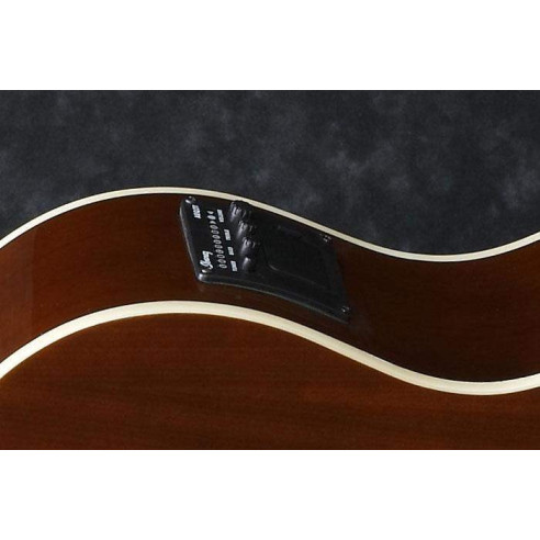 PF15ECE-BK Guitarra Acústica Dreadnought con cutaway