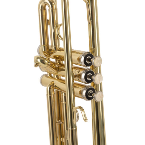 J.Michael TR200 Trompeta Estudio Si Bemol