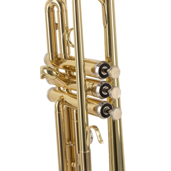 J.Michael TR200 Trompeta Estudio Si Bemol