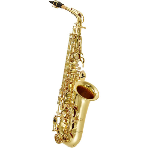 J. Michael  AL500 Saxo Alto Estudio