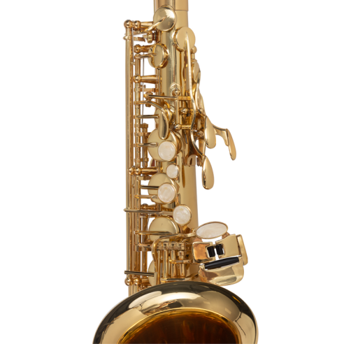 J. Michael  AL500 Saxo Alto Estudio