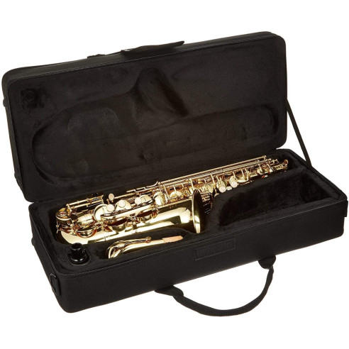 J. Michael  AL500 Saxo Alto Estudio