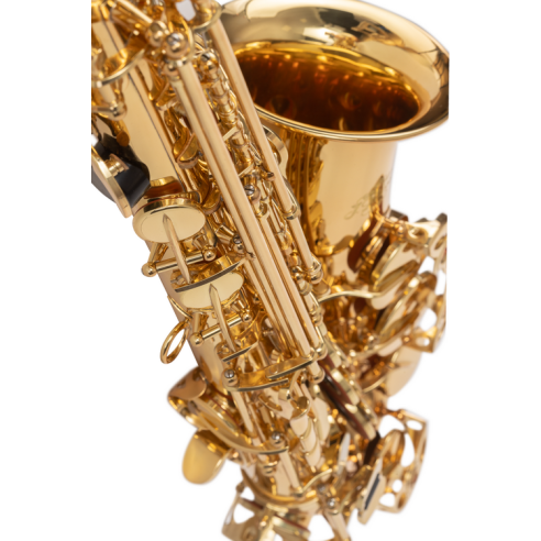 J. Michael  AL500 Saxo Alto Estudio