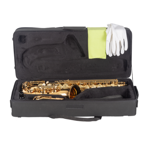 J. Michael  AL500 Saxo Alto Estudio
