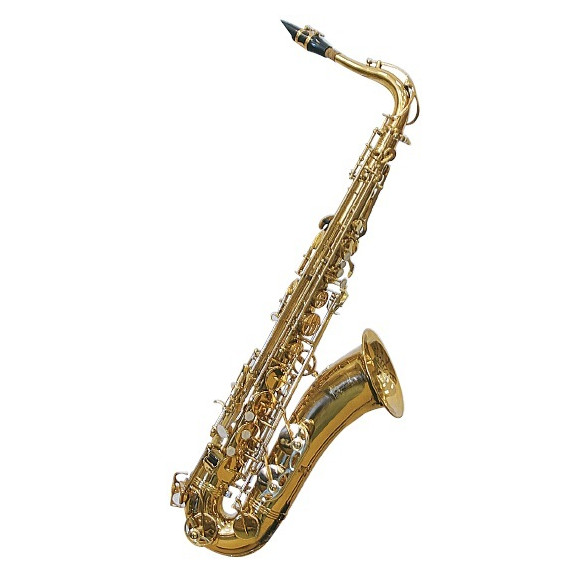 J.Michael TN900 Saxo Tenor Estudio J.Michael TN900 Saxo Tenor Estudio