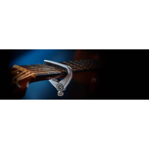 Compra Cejilla Newport para Acústica 12 Cuerdas Plateada online | MusicSales 2