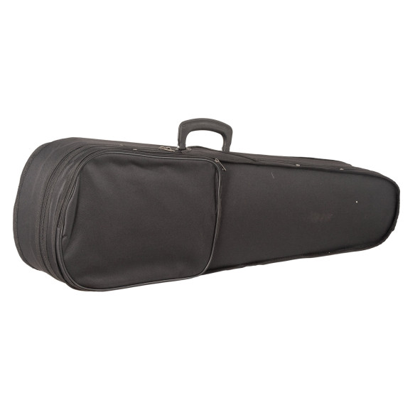 CARLO GIORDANO VS0 Violín Estudio 4/4 Set