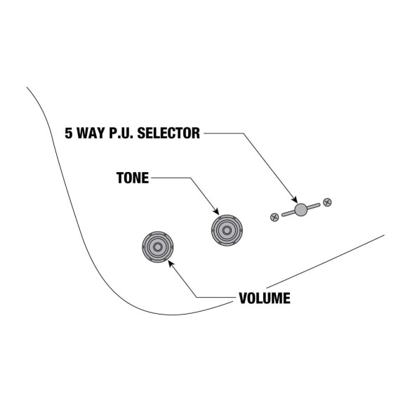 Ibanez FRM300-PR Paul Gilbert Signature Guitarra Eléctrica