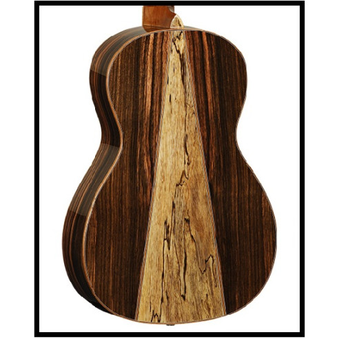 TWJPE Guitarra Electroacústica Parlor