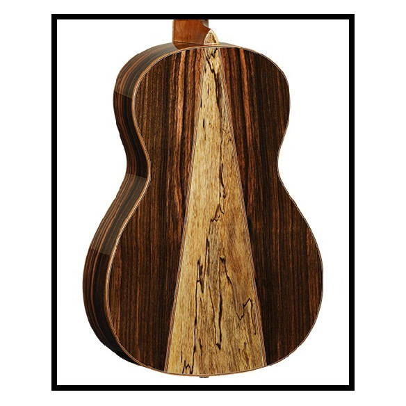 TWJPE Guitarra Electroacústica Parlor