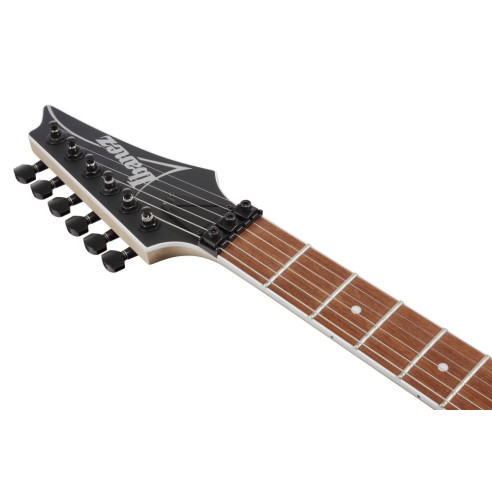 RG420EX-BKF Guitarra Eléctrica RG