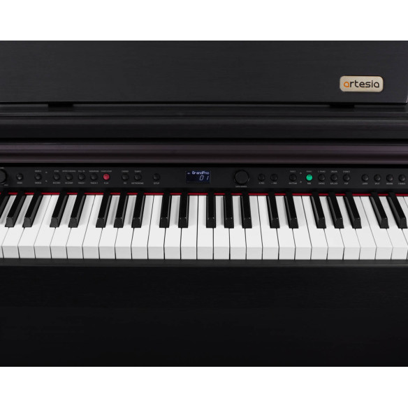 DP10-E Piano Digital 88 teclas Contrapesadas 