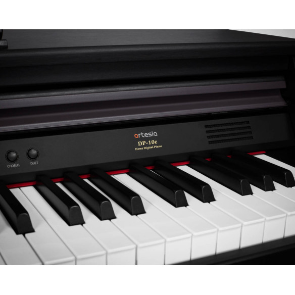 DP10-E Piano Digital 88 teclas Contrapesadas 