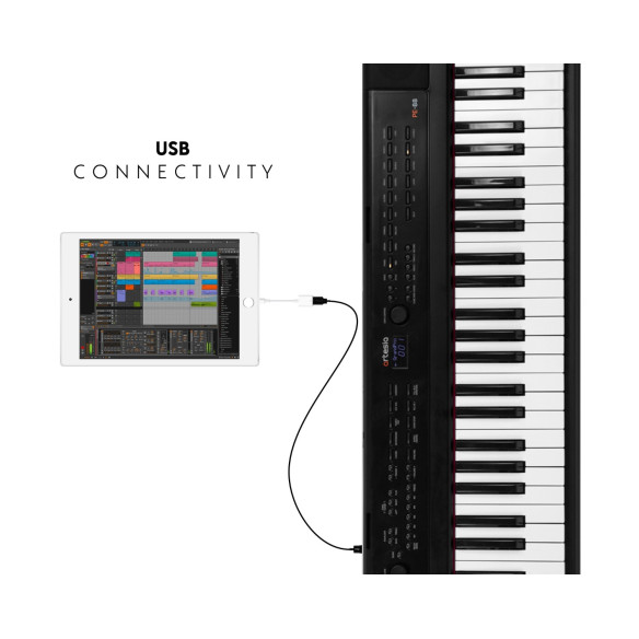 PE-88 Piano Digital Escenario 88 Teclas Compensadas 