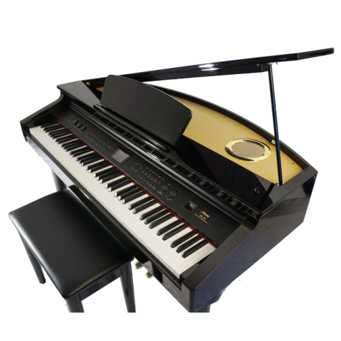 AG30 Piano Digital de Cola 88 teclas Hammer Negro Pulido