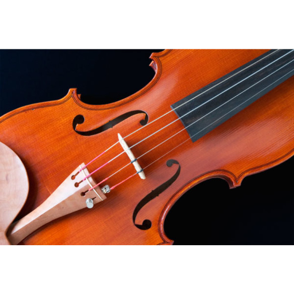 Juego Violín 1/8 Popular G-105 Juego Violín 1/8 Popular G-105