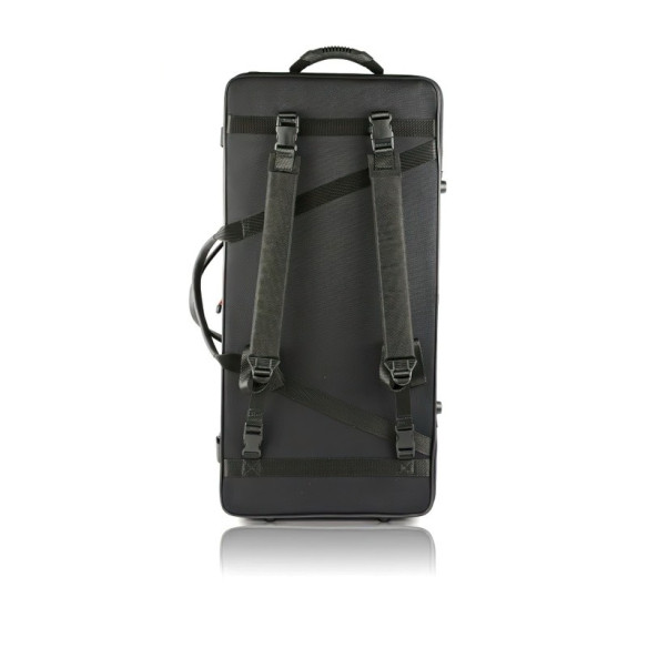 Compra Estuche Doble Violín y Viola 2006S Classic Negro 6149 online | MusicSales