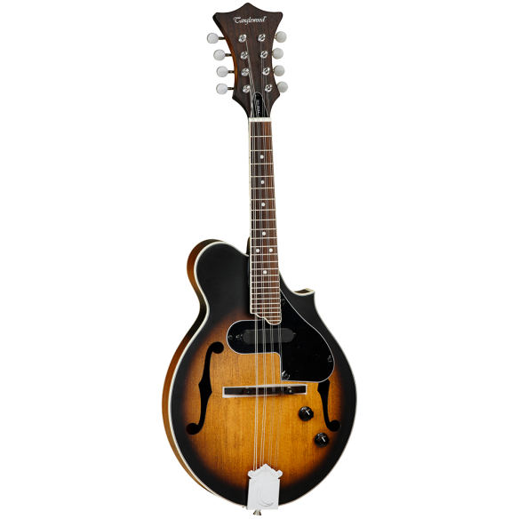 TWMFVSE Mandolina Electrificada 